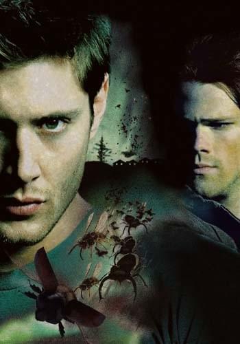 Banner da Temporada